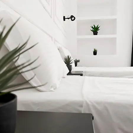 Orman Evi Cosy 8 Pietà